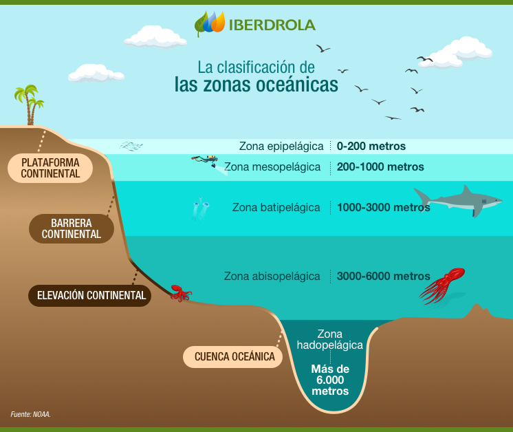 La clasificación de las zonas oceánicas.