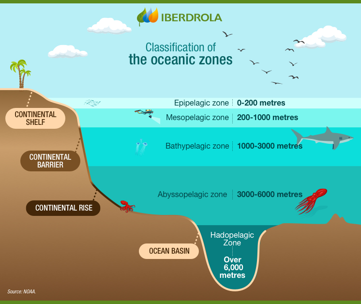 Classification of the oceanic zones.