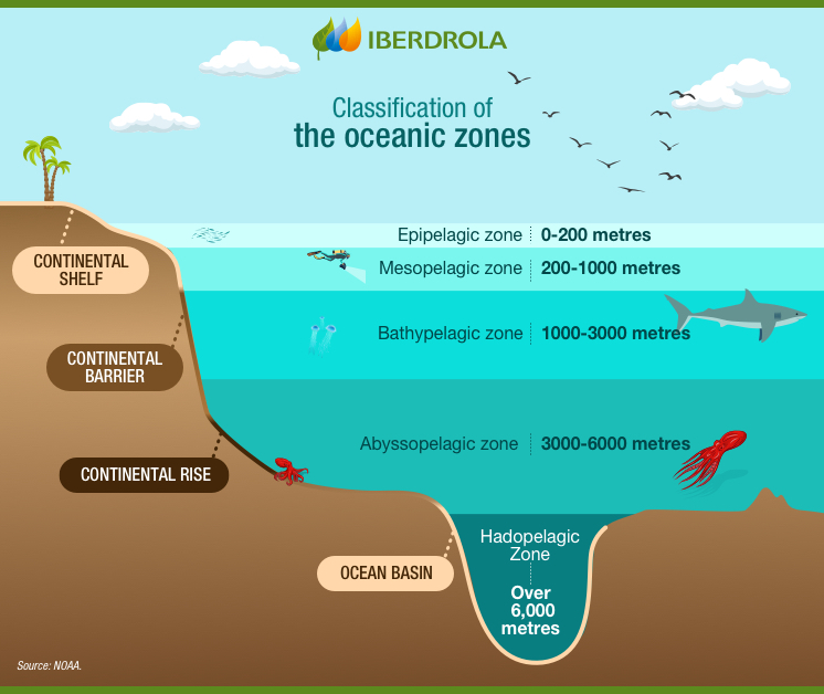 Layers of the Ocean  National Oceanic and Atmospheric Administration