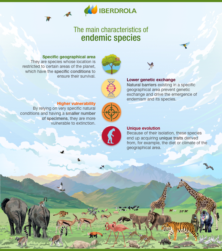 The main features of endemic species.