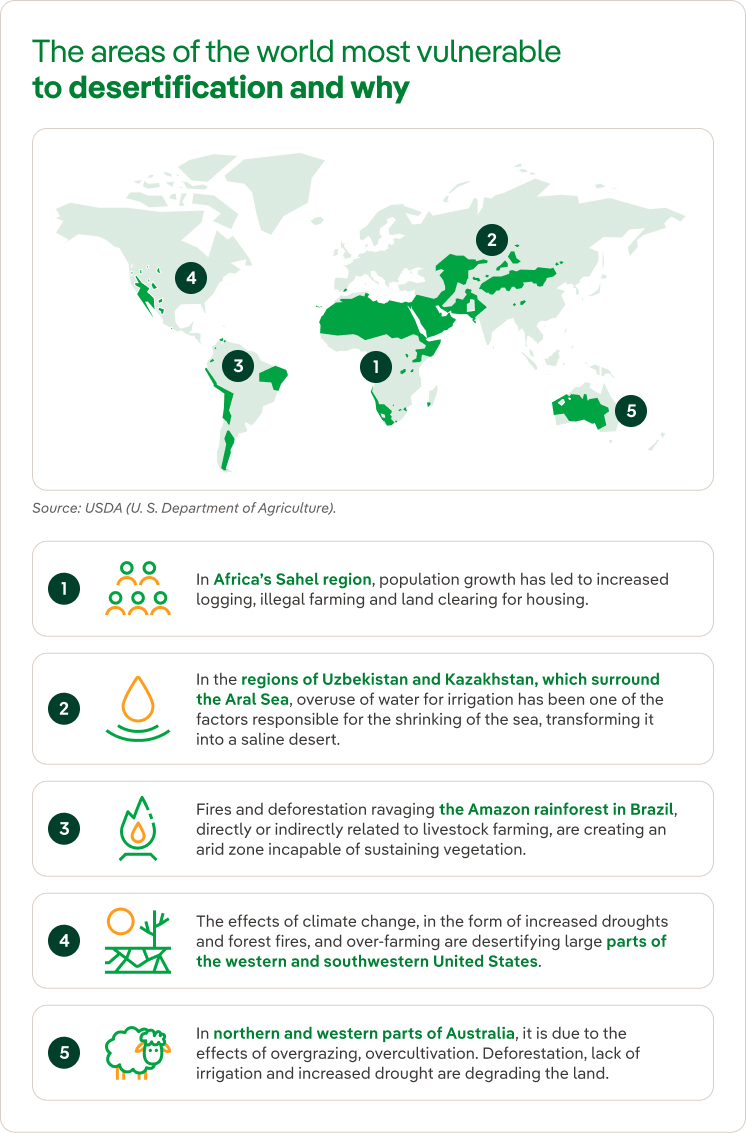 The areas of the world most vulnerable to desertification and why.