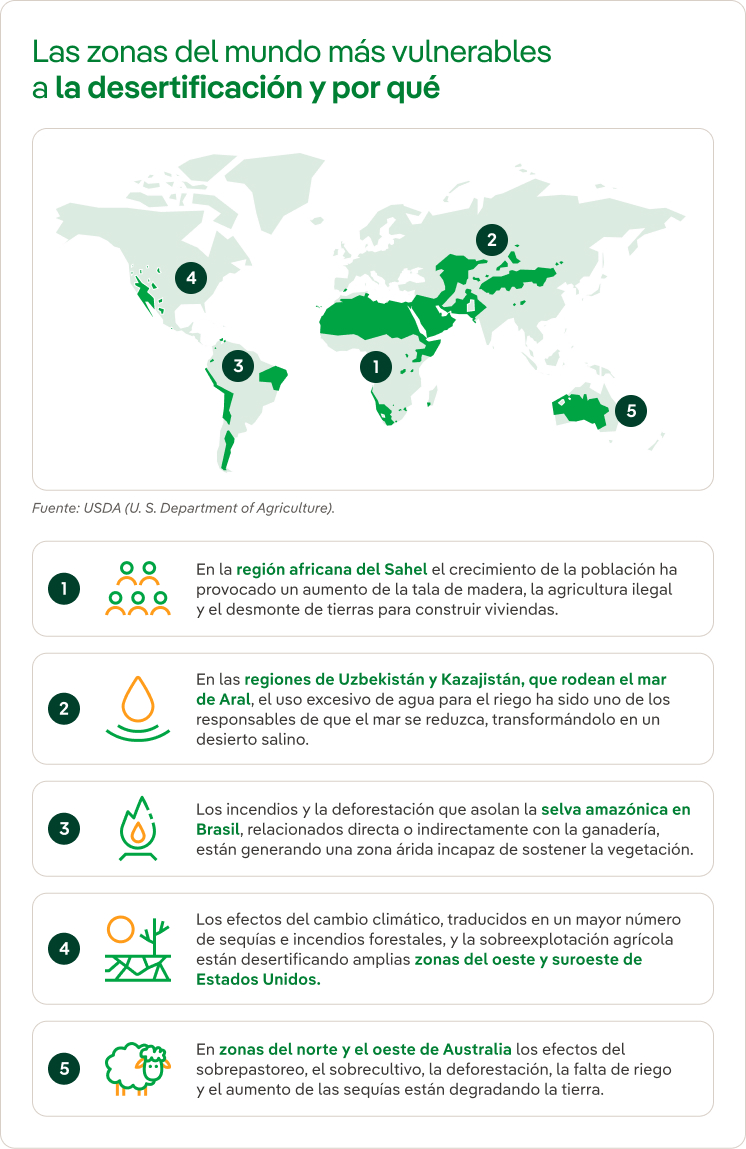 Las zonas del mundo más vulnerables a la desertificación y por qué.