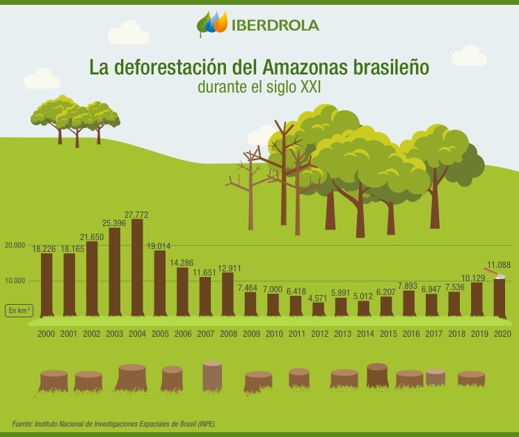 La deforestación del Amazonas y su impacto en la biodiversidad - Iberdrola