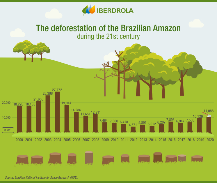 Deforestation in the  and its impact on biodiversity - Iberdrola