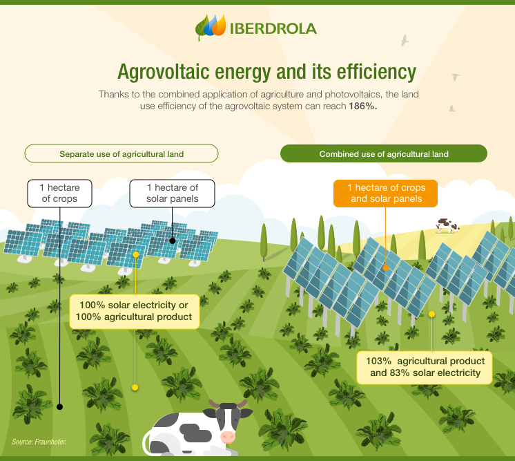 infografia-la-energia-agrovoltaica-y-su-eficiencia