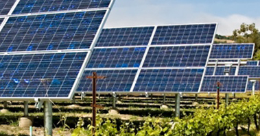 Agrovoltaics_EN