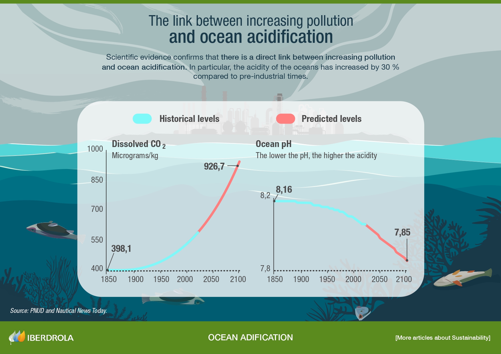 The link between increasing pollution and ocean acidification