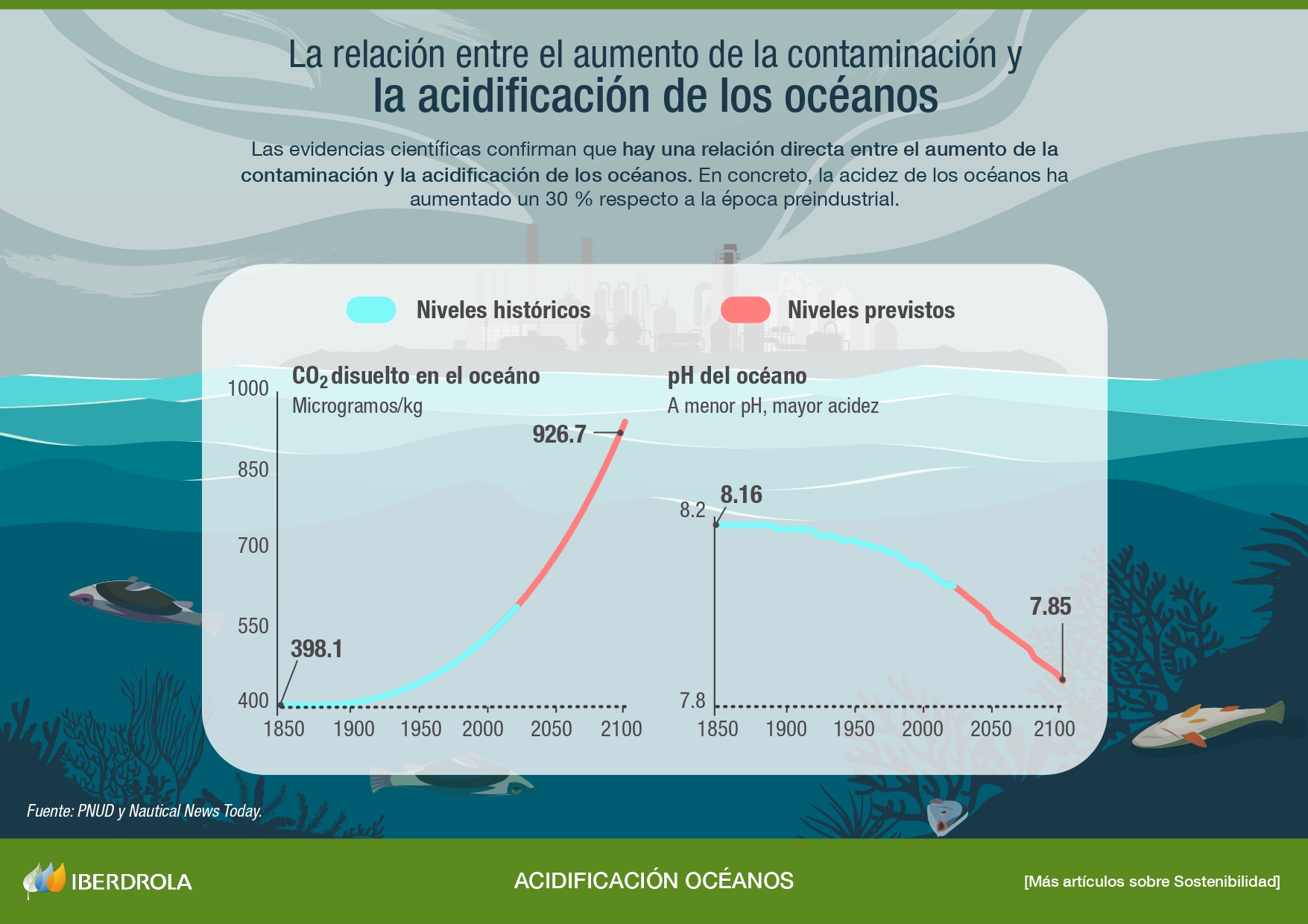 Acidificación de los océanos