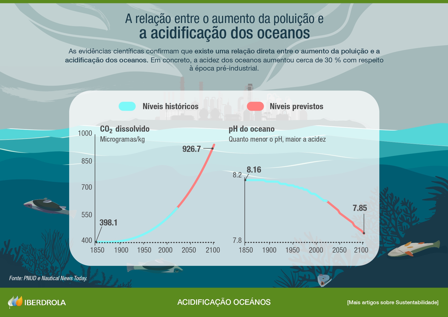 A relação entre o aumento da poluição e a acidificação dos oceanos