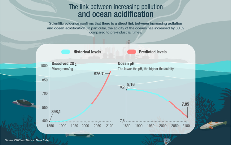 The link between increasing pollution and ocean acidification