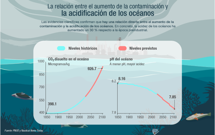 Acidificación de los océanos