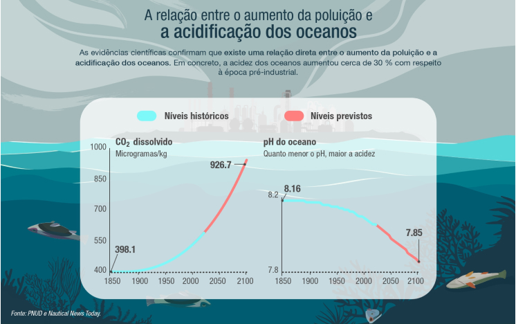 A relação entre o aumento da poluição e a acidificação dos oceanos