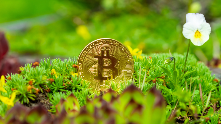 cryptocurrencies