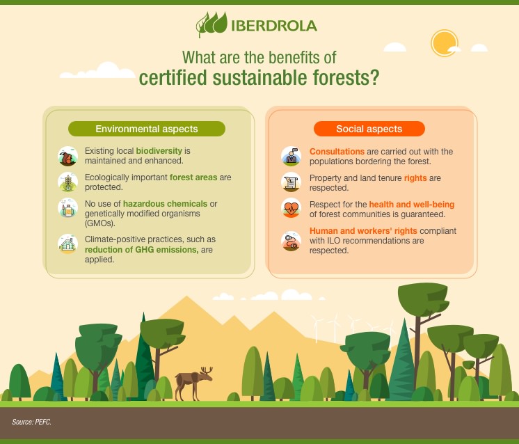 thesis on sustainable forest management