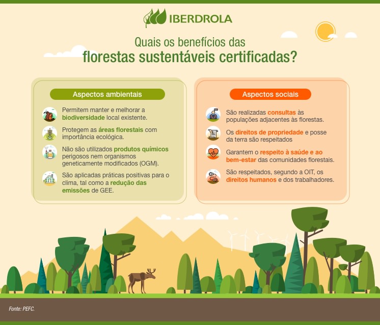 Gestión forestal