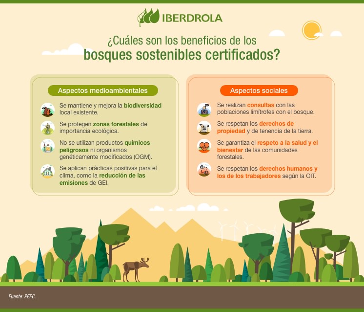 Gestión forestal