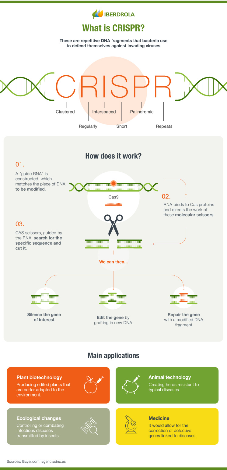 What is CRISPR and how does it work