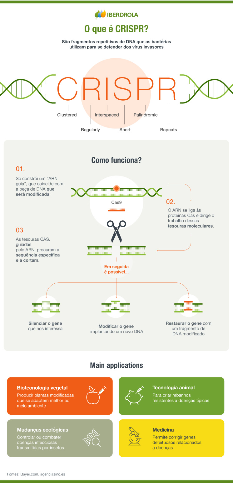O que é CRISPR e como funciona