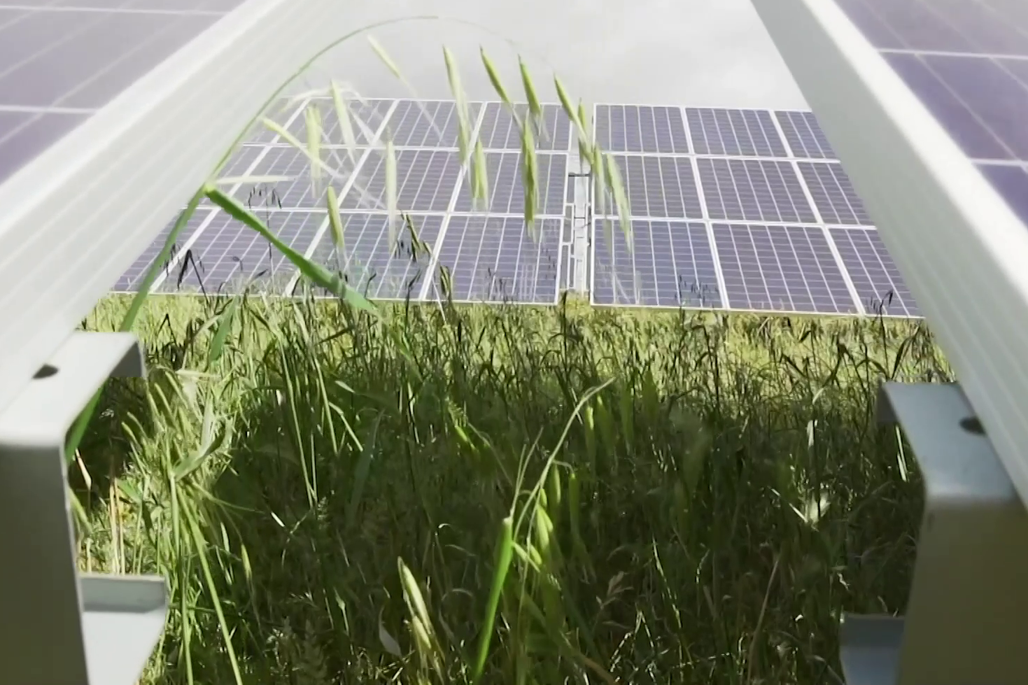 Iberdrola solar plant.