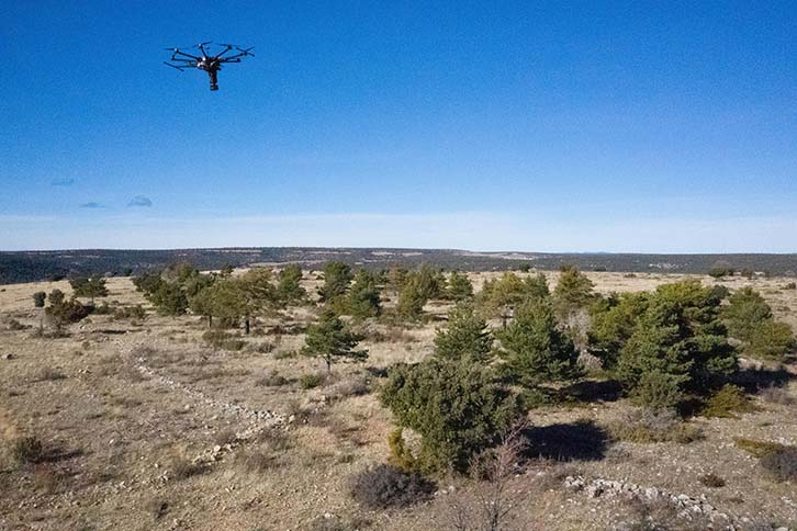 A Iberdrola está buscando cidades comprometidos com a sustentabilidade e o meio ambiente para reflorestá-las.