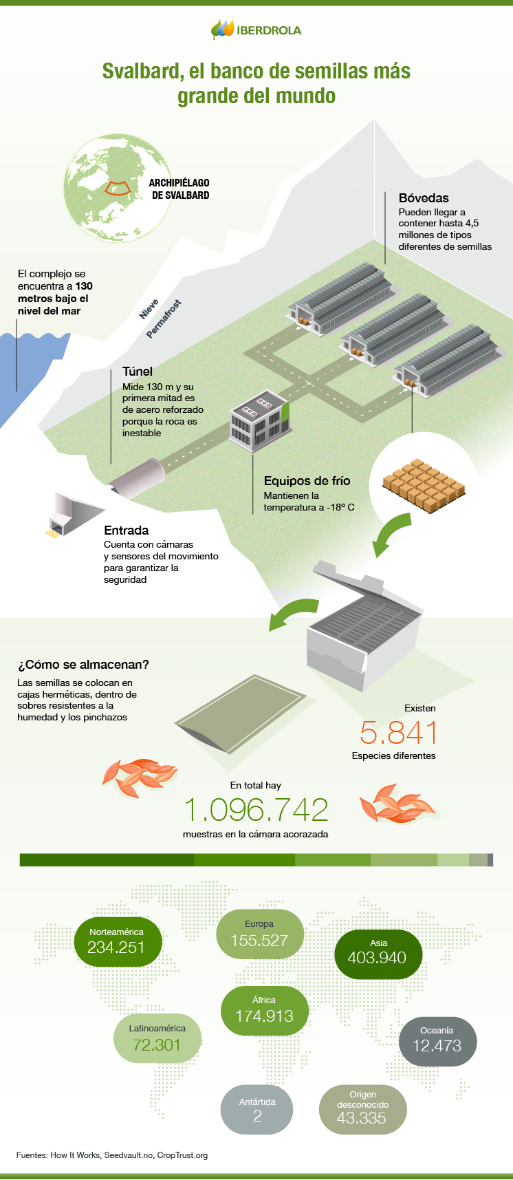 Banco de semillas - infografía