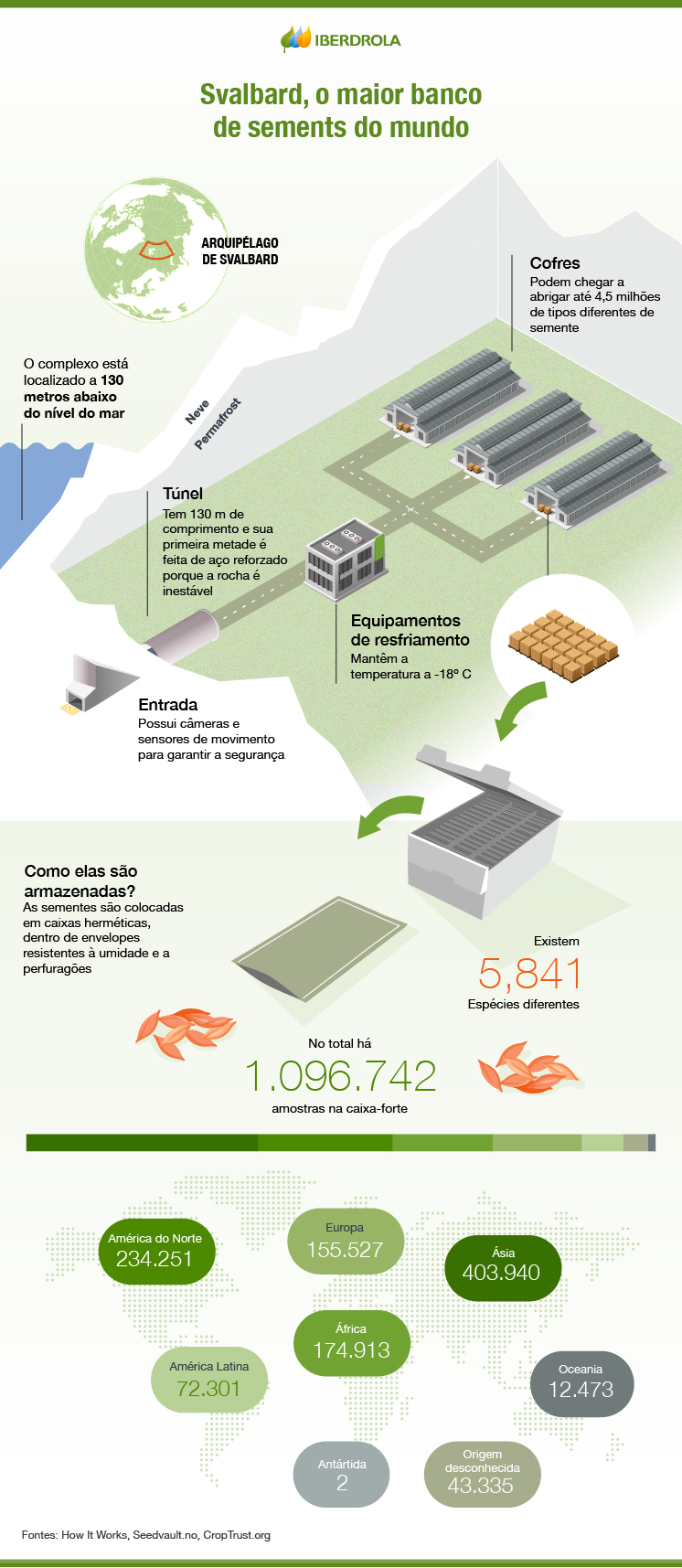 Banco de sementes - infografico