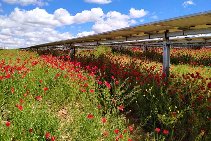 Once operational, the plant will produce 20 GWh/year, equivalent to the average supply of 5,000 homes