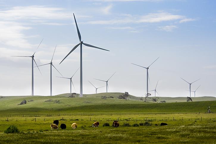 Iberdrola adquire seu maior parque eólico onshore do mundo com 1.000 MW na Austrália