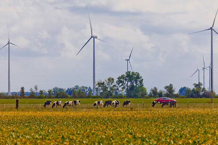 Blue Creek Wind Farm