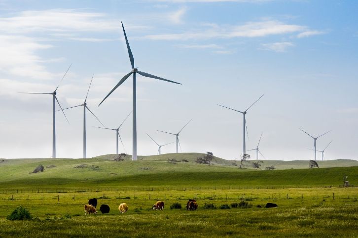 Iberdrola continúa a paso firme con su compromiso por liderar la revolución energética, como el único camino para acelerar la descarbonización y eliminar la dependencia a los combustibles fósiles