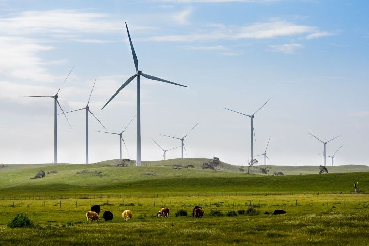 A Iberdrola continua firme em seu compromisso de liderar a revolução energética como a única forma de acelerar a descarbonização e eliminar a dependência dos combustíveis fósseis.