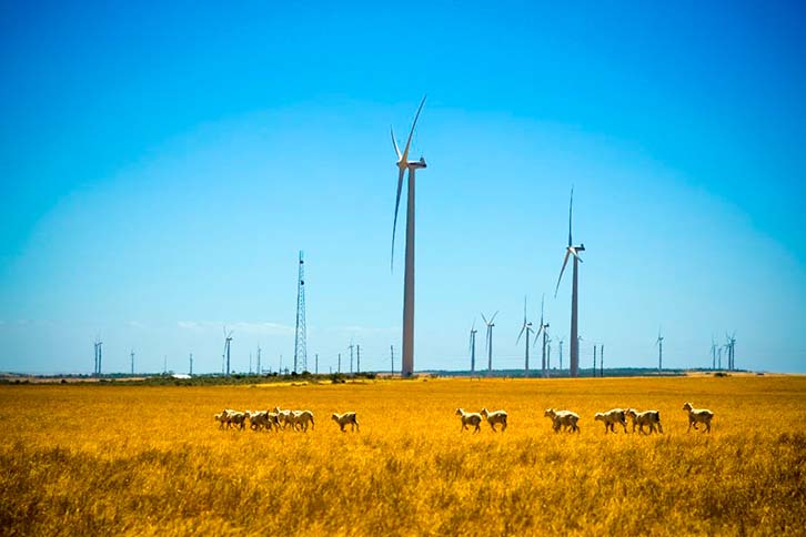 Iberdrola avança em seu compromisso com a Polônia e inicia a construção do parque eólico Korytnica II