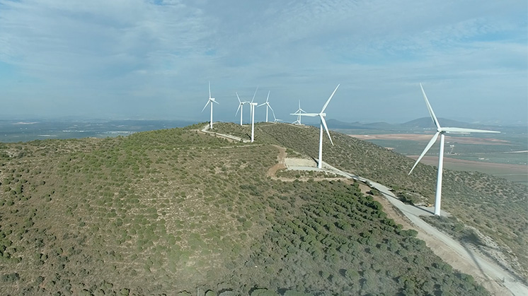 ElPuntal