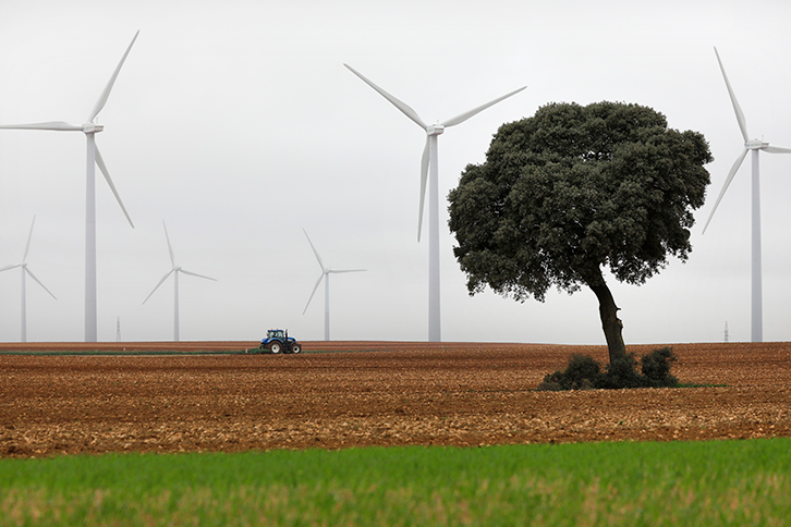 Iberdrola está totalmente comprometida com a conservação da biodiversidade e dos ecossistemas