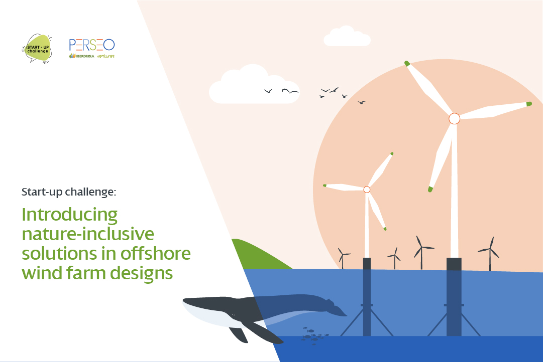 Startup Challenge: Introducing nature-inclusive solutions in offshore wind farm designs