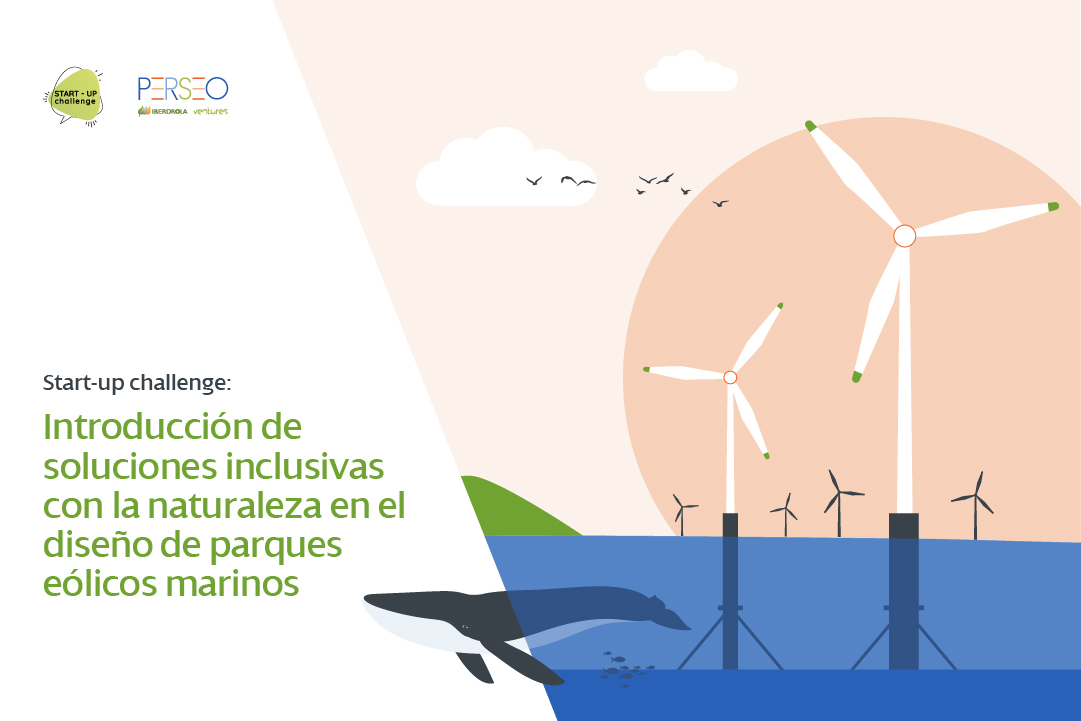 Start-up Challenge: Introducción de soluciones inclusivas con la naturaleza en el diseño de parques eólicos marinos