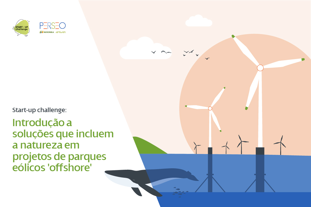 Start-up Challenge: Introdução a soluções que incluem a natureza em projetos de parques eólicos 'offshore'