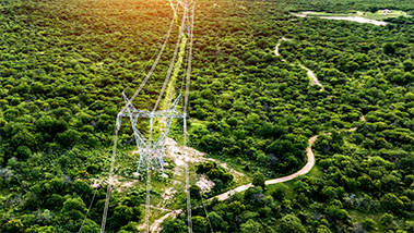 Neoenergia launches bid to acquire 6.89% of its Brazilian subsidiary ...