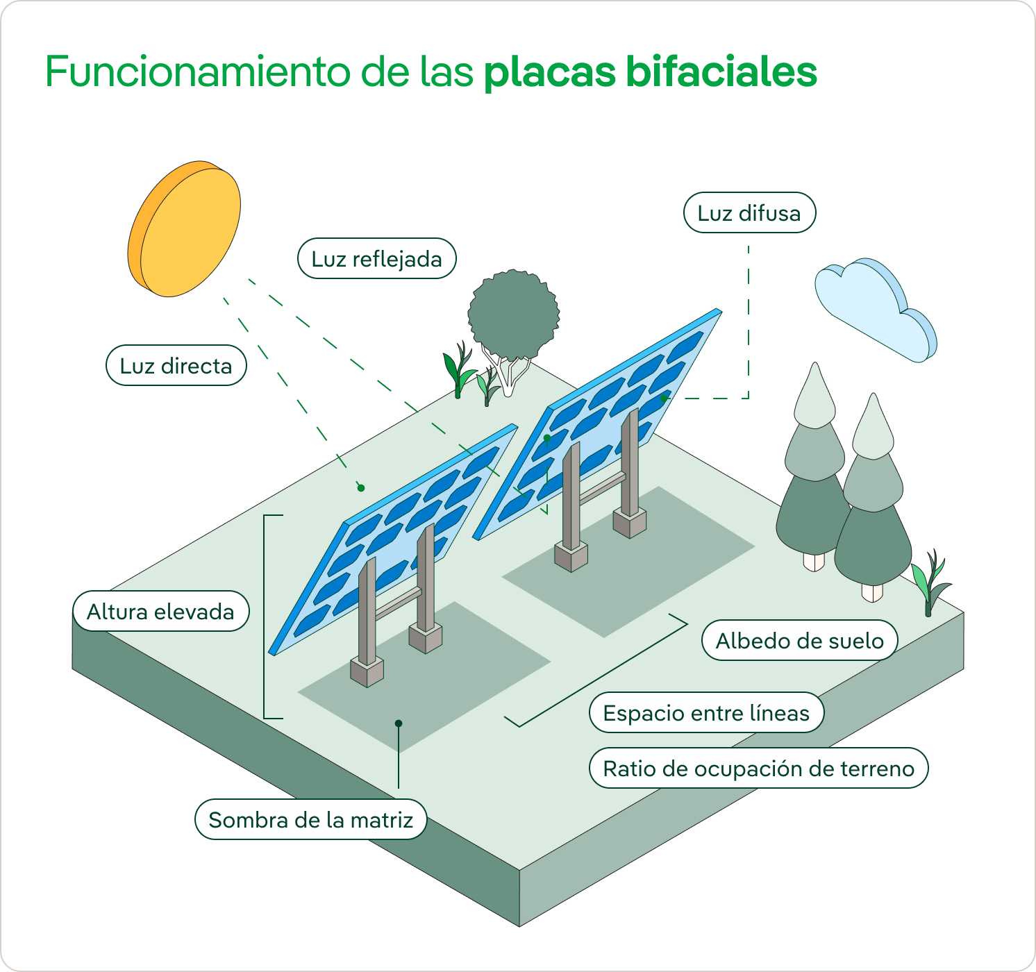 Funcionamiento de las placas bifaciales 