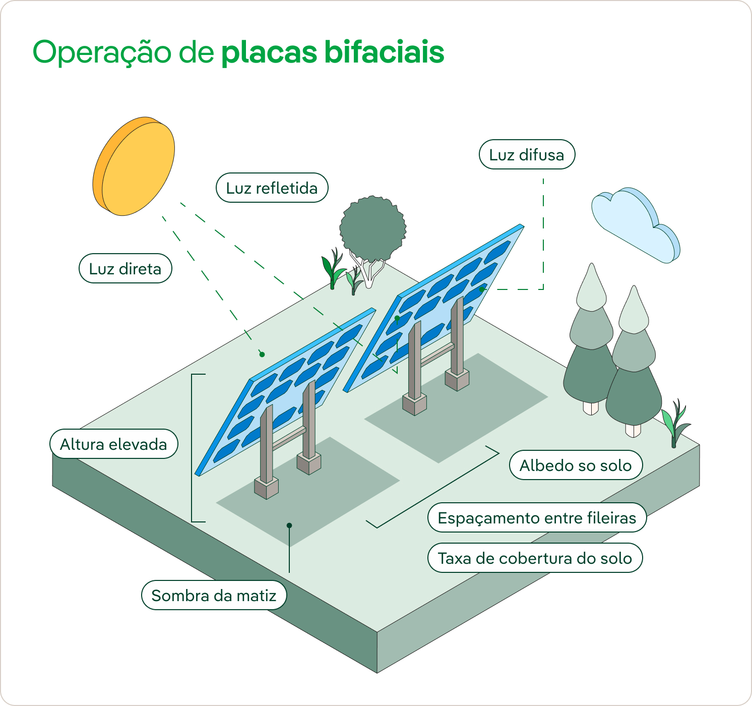 Funcionamiento de las placas bifaciales 