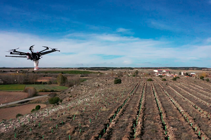 Iberdrola will plant 230 hectares with seedlings, drones and smart seeds through its international startup program, Perseo.