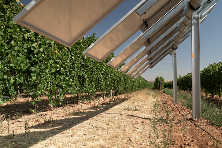 La nueva instalación permite regular, mediante la sombra de los paneles, la incidencia del sol y la temperatura en los viñedos
