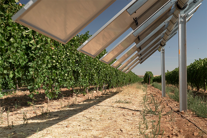 The new installation allows to regulate, through the shade of the panels, the incidence of the sun and the temperature in the vineyards