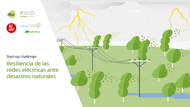 Start-up challenge: Resiliencia de las redes eléctricas ante desastres naturales