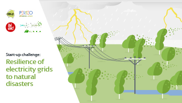 Start-up challenge: Resilience of electricity grids to natural disasters