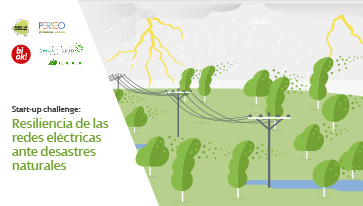 Start-up challenge: Resiliencia de las redes eléctricas ante desastres naturales