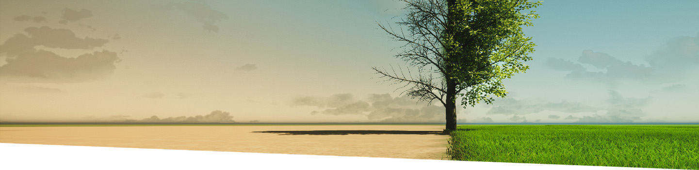 Cambio climático