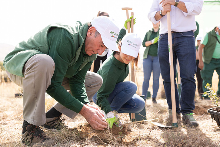 El presidente de Iberdrola, Ignacio Galán, participó en la jornada de reforestación inclusiva desarrollada en Navalacruz (Ávila), zona devastada por las llamas