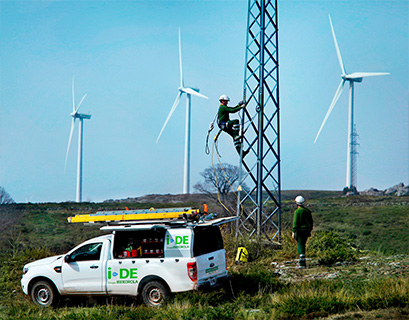 With 1.1 million transmission lines, Iberdrola aims to reduce faults in distribution networks in forest environments