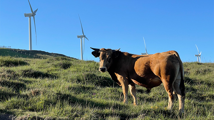 Renovables y agricultura